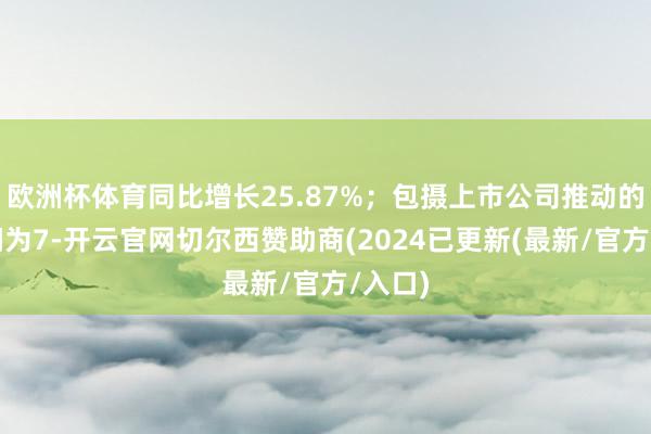 欧洲杯体育同比增长25.87%；包摄上市公司推动的净利润为7-开云官网切尔西赞助商(2024已更新(最新/官方/入口)