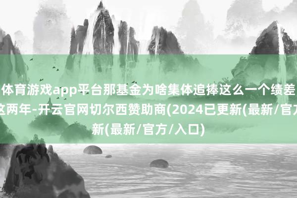 体育游戏app平台那基金为啥集体追捧这么一个绩差股呢？这两年-开云官网切尔西赞助商(2024已更新(最新/官方/入口)